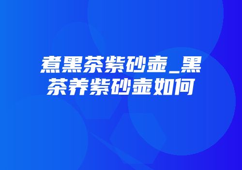 煮黑茶紫砂壶_黑茶养紫砂壶如何