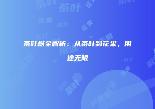 茶叶树全解析：从茶叶到花果，用途无限