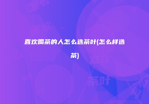 喜欢喝茶的人怎么选茶叶(怎么样选茶)