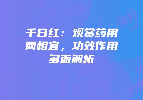 千日红：观赏药用两相宜，功效作用多面解析