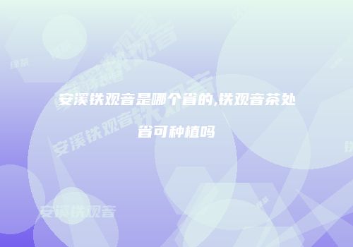 安溪铁观音是哪个省的,铁观音茶处省可种植吗
