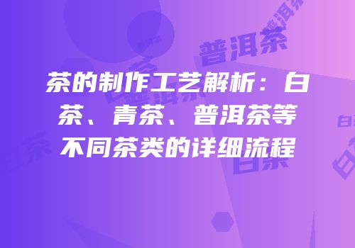 茶的制作工艺解析：白茶、青茶、普洱茶等不同茶类的详细流程