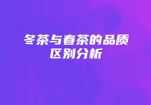 冬茶与春茶的品质区别分析
