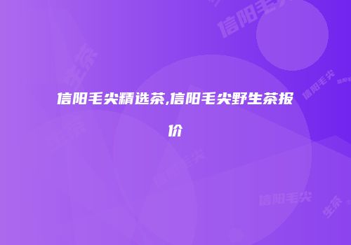 信阳毛尖精选茶,信阳毛尖野生茶报价