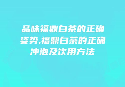 品味福鼎白茶的正确姿势,福鼎白茶的正确冲泡及饮用方法