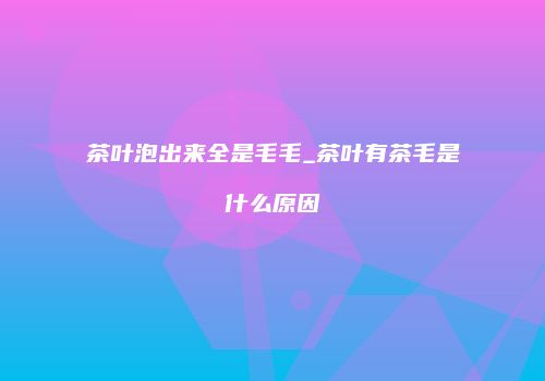 茶叶泡出来全是毛毛_茶叶有茶毛是什么原因