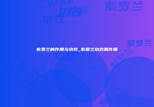 紫罗兰的作用与功效_紫露兰功效和作用
