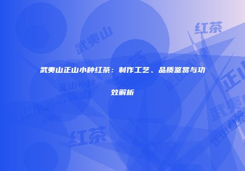 武夷山正山小种红茶：制作工艺、品质鉴赏与功效解析