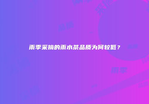 雨季采摘的雨水茶品质为何较低？