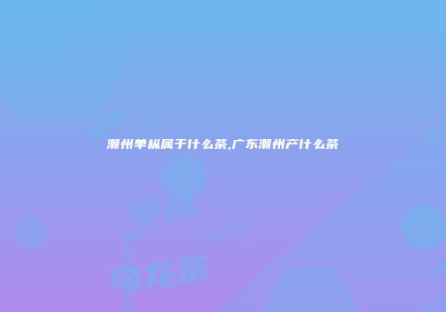 潮州单枞属于什么茶,广东潮州产什么茶