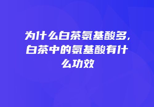 为什么白茶氨基酸多,白茶中的氨基酸有什么功效