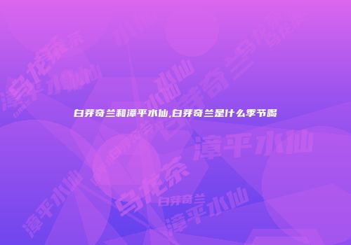 白芽奇兰和漳平水仙,白芽奇兰是什么季节喝
