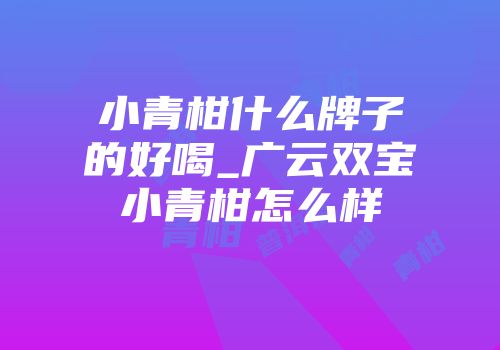 小青柑什么牌子的好喝_广云双宝小青柑怎么样