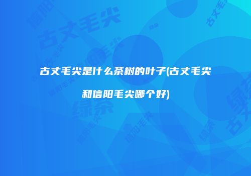 古丈毛尖是什么茶树的叶子(古丈毛尖和信阳毛尖哪个好)