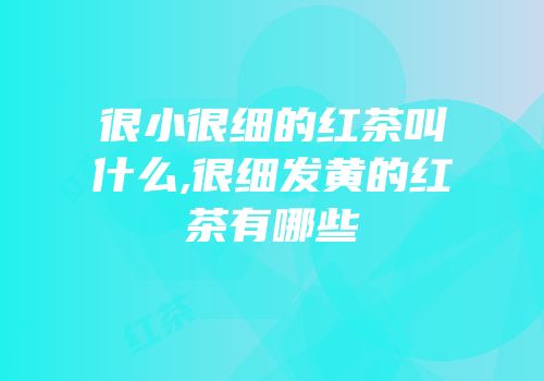 很小很细的红茶叫什么,很细发黄的红茶有哪些