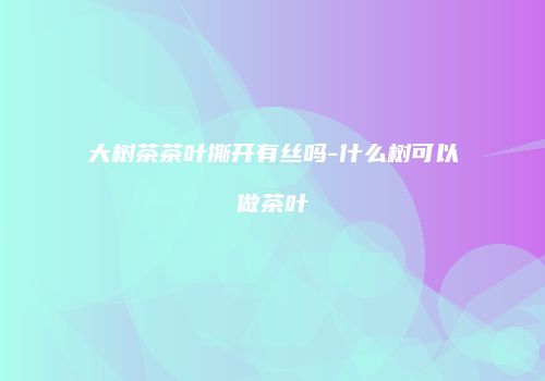 大树茶茶叶撕开有丝吗-什么树可以做茶叶