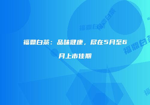 福鼎白茶：品味健康，尽在5月至6月上市佳期