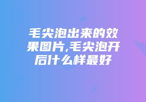 毛尖泡出来的效果图片,毛尖泡开后什么样最好