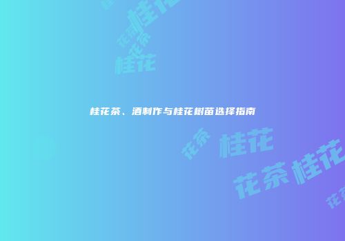 桂花茶、酒制作与桂花树苗选择指南