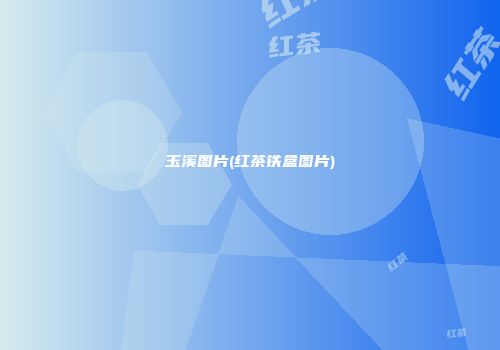 玉溪图片(红茶铁盒图片)