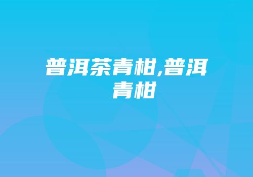普洱茶青柑,普洱 青柑