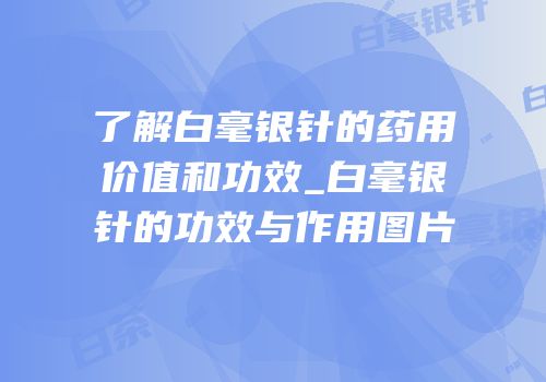 了解白毫银针的药用价值和功效_白毫银针的功效与作用图片