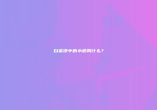 白茶饼中的小纸叫什么？