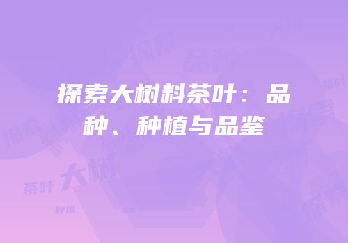 探索大树料茶叶：品种、种植与品鉴