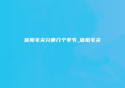 信阳毛尖分哪几个季节_信阳毛尖