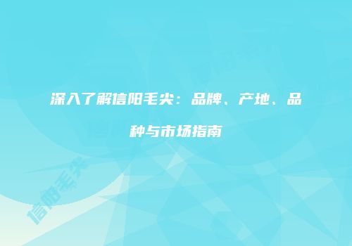 深入了解信阳毛尖：品牌、产地、品种与市场指南