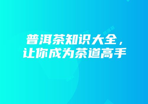 普洱茶知识大全，让你成为茶道高手