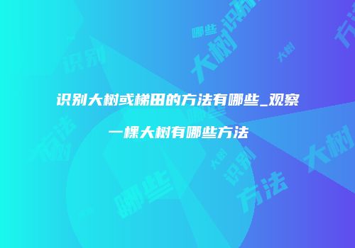 识别大树或梯田的方法有哪些_观察一棵大树有哪些方法