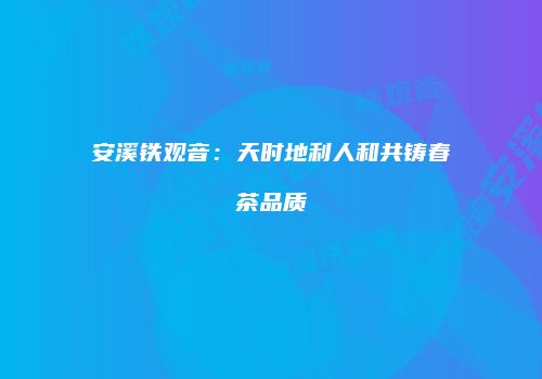 安溪铁观音：天时地利人和共铸春茶品质