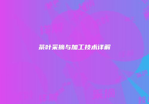 茶叶采摘与加工技术详解