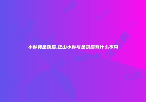 小种和金骏眉,正山小种与金骏眉有什么不同