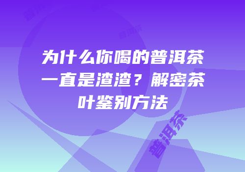 为什么你喝的普洱茶一直是渣渣？解密茶叶鉴别方法