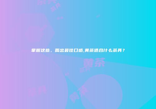 掌握这些，喝出最佳口感,黄茶适合什么茶具？