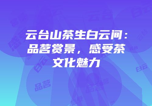 云台山茶生白云间：品茗赏景，感受茶文化魅力