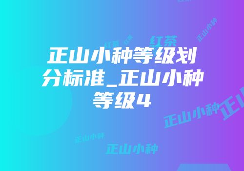 正山小种等级划分标准_正山小种等级4