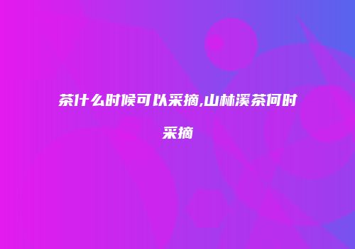 茶什么时候可以采摘,山林溪茶何时采摘