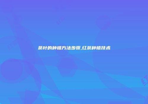 茶叶的种植方法步骤,红茶种植技术
