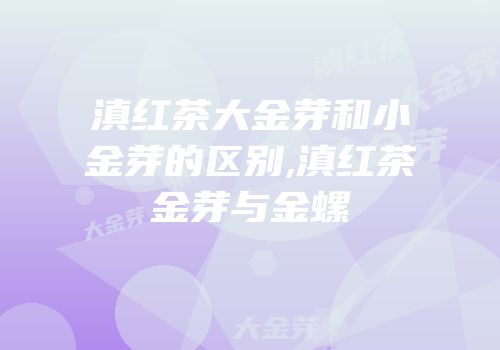 滇红茶大金芽和小金芽的区别,滇红茶金芽与金螺