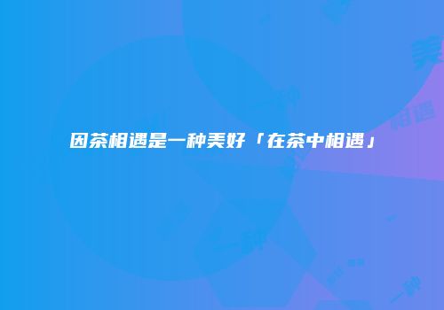 因茶相遇是一种美好「在茶中相遇」