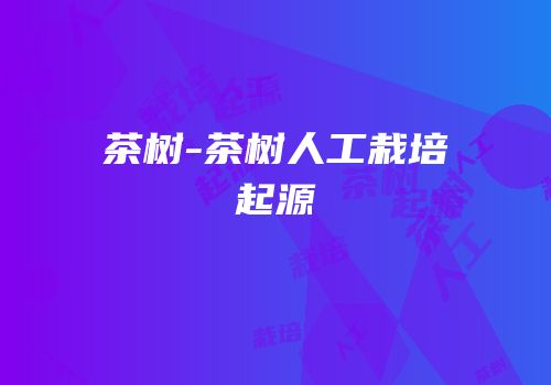 茶树-茶树人工栽培起源