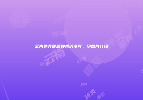 云南都有哪些种类的茶叶，附图片介绍