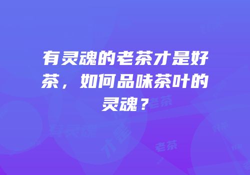有灵魂的老茶才是好茶，如何品味茶叶的灵魂？