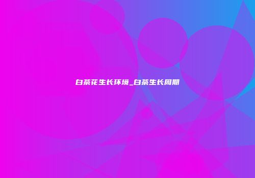 白茶花生长环境_白茶生长周期