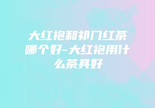 大红袍和祁门红茶哪个好-大红袍用什么茶具好