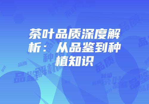 茶叶品质深度解析：从品鉴到种植知识