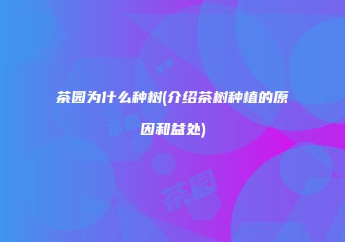 茶园为什么种树(介绍茶树种植的原因和益处)